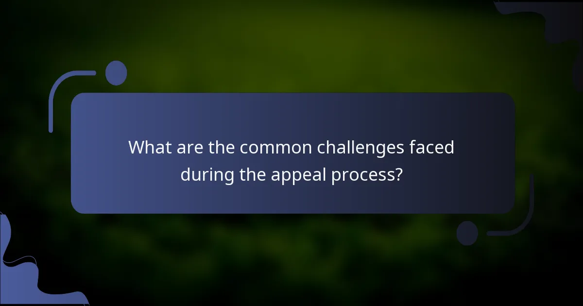 What are the common challenges faced during the appeal process?